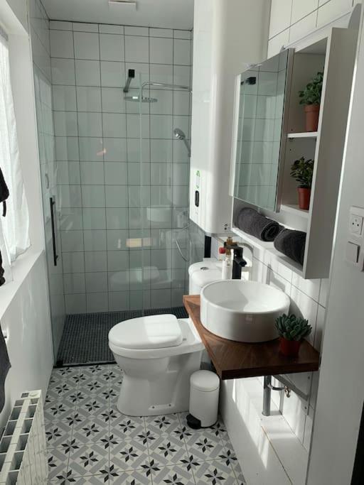 Appartement Centre Ville Avec Terrasse リール エクステリア 写真
